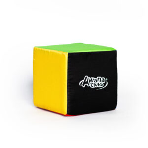 Awana Game Cube